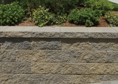 A stone wall with plants growing on it