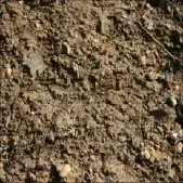 A close up of a pile of dirt and rocks on the ground.