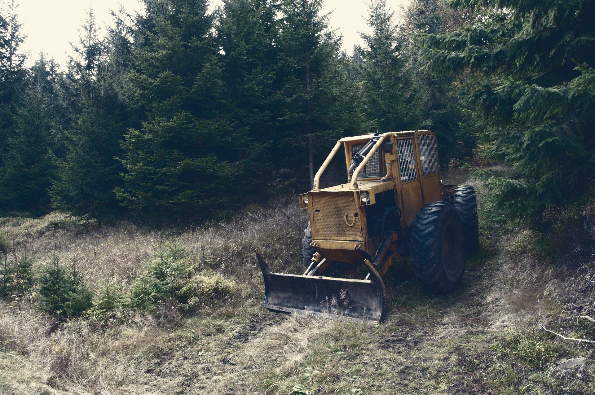 A dump truck with a snow plow attached to it