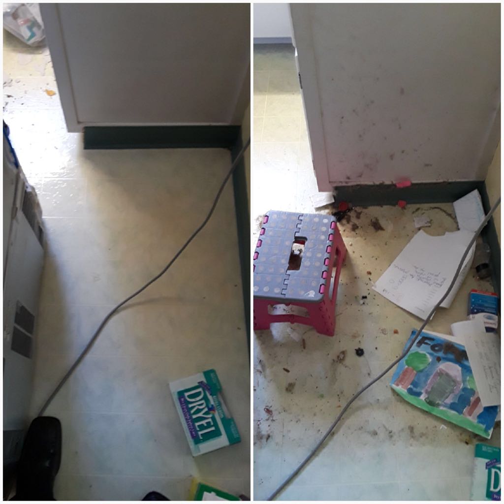 Before and after cleaning