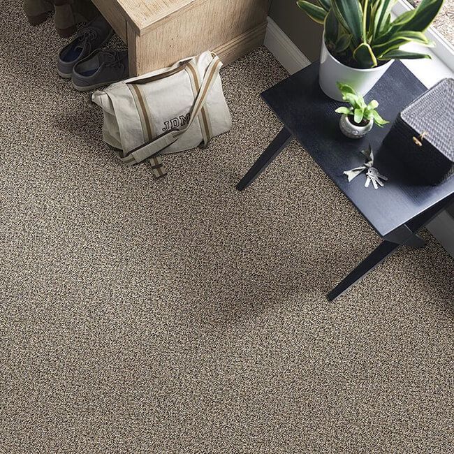 Overhead shot of a beige speckled carpet in a home entrance. Includes shoes, a bag, and a side table with plants.