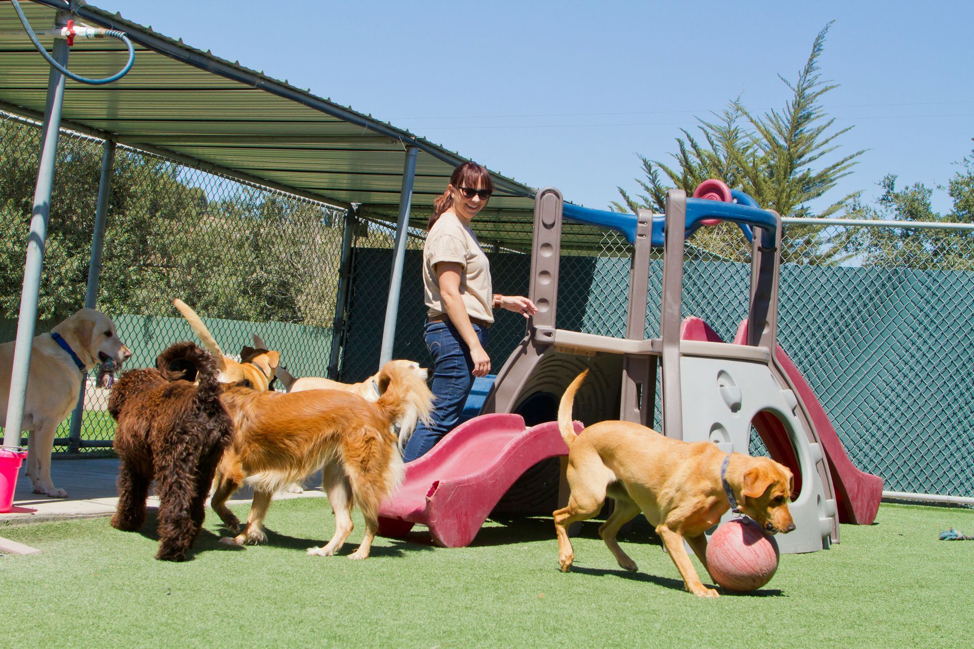 pet boarding facility