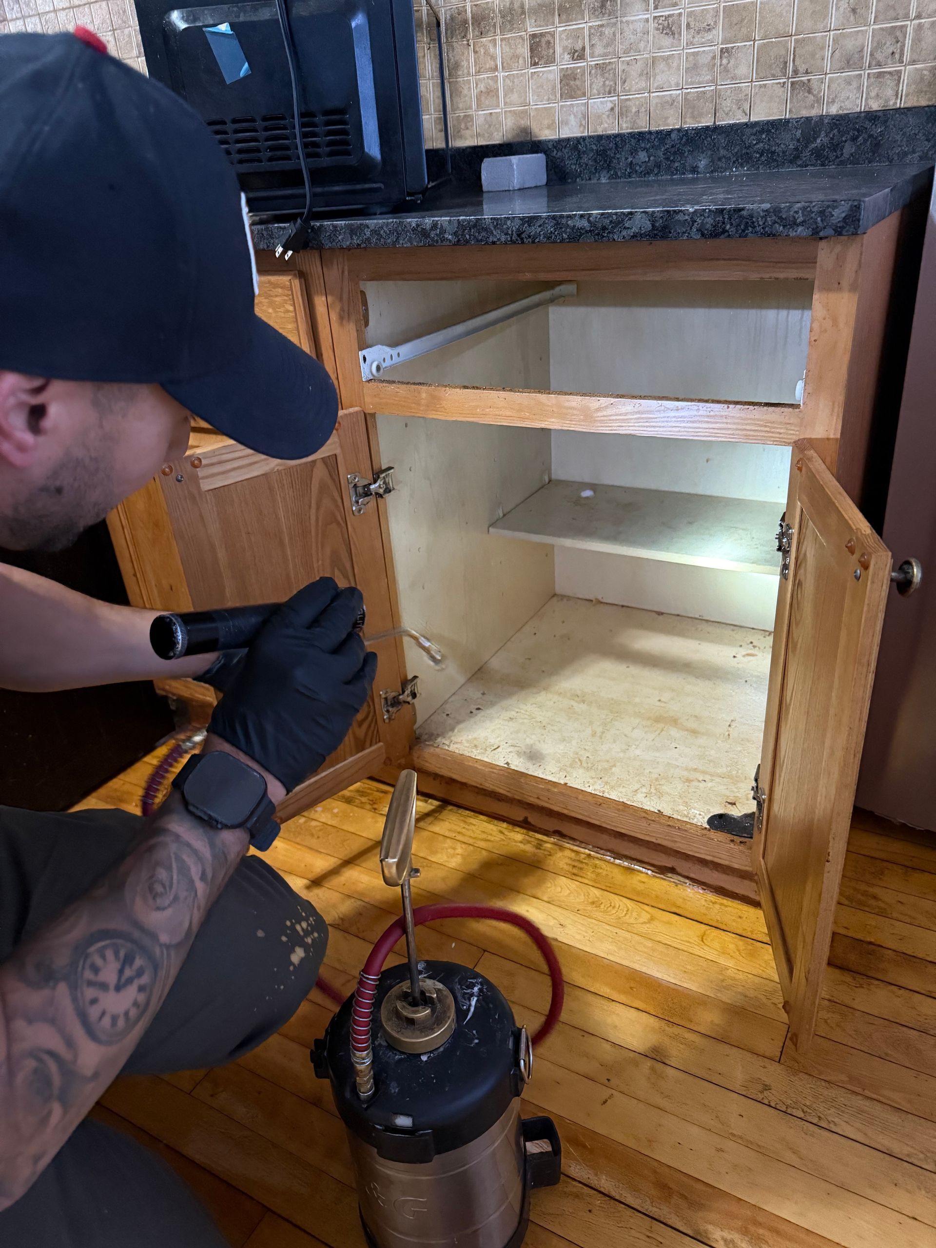 Person inspecting kitchen cabinet with a flashlight, using a pest control sprayer.