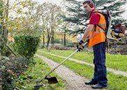 weed control