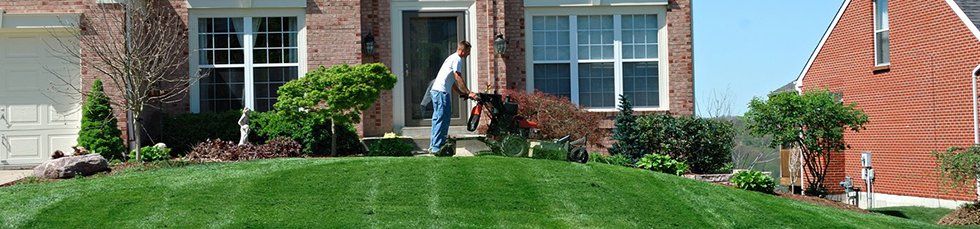 Lawn