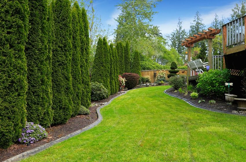 landscaping