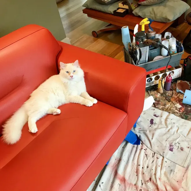 White cat lounging on a red couch in a living room, looking toward the camera.