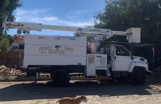 White Honey Tree Service truck with an elevated boom. Outdoors, dog in foreground.