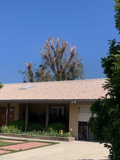 House with a beige tile roof and a tree with bare branches against a blue sky.