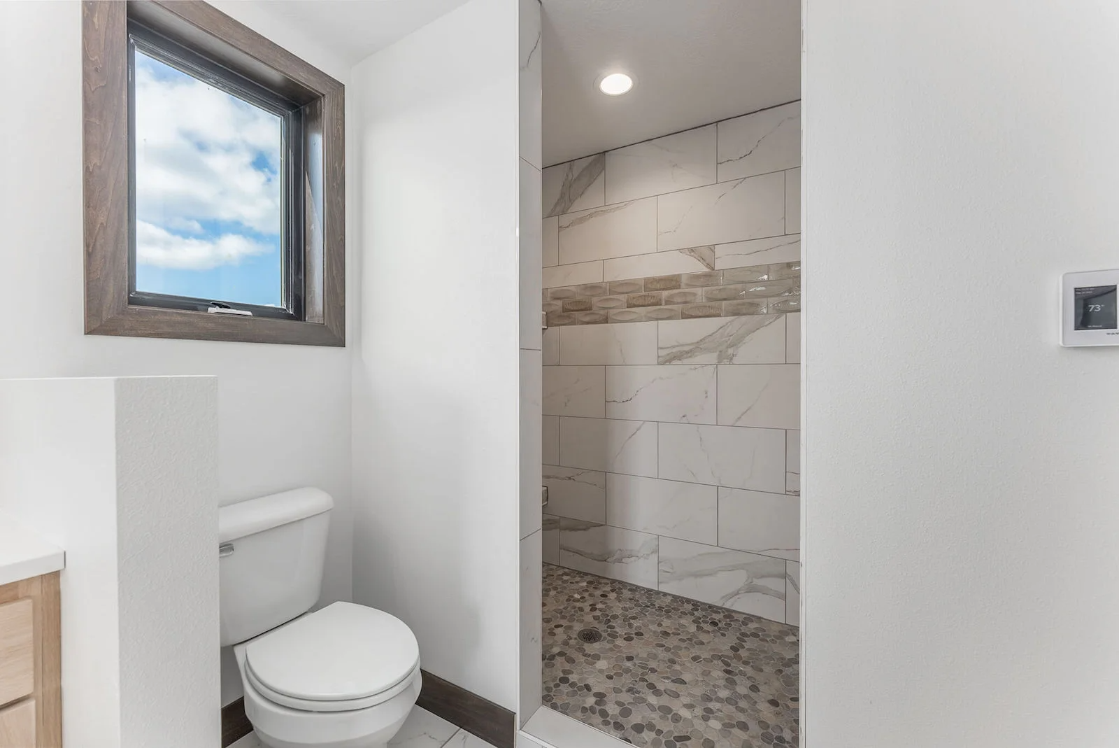 A bathroom with a toilet and a walk in shower.