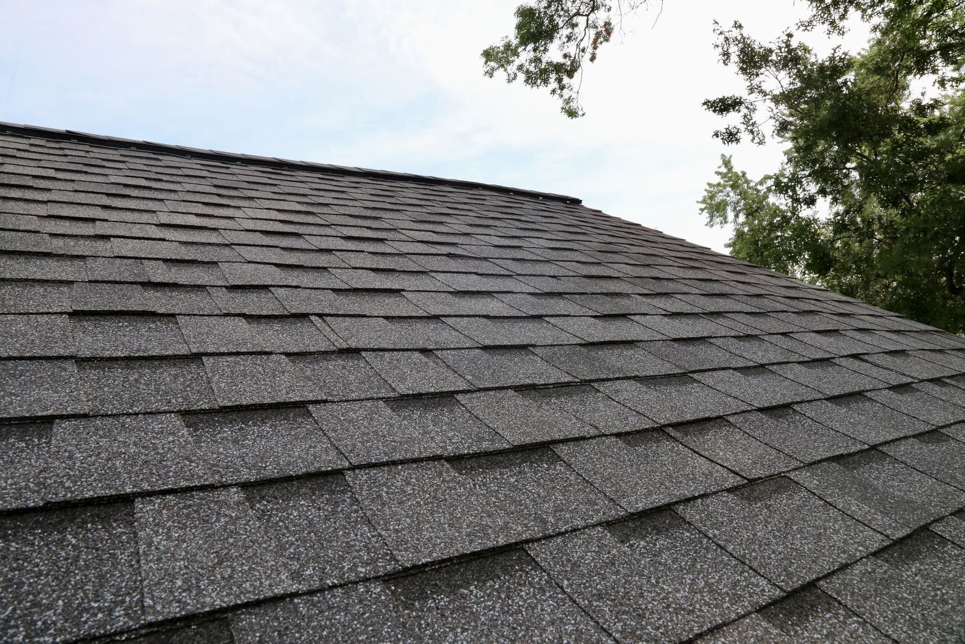 Close-up of a gray shingled roof with trees visible at the edge