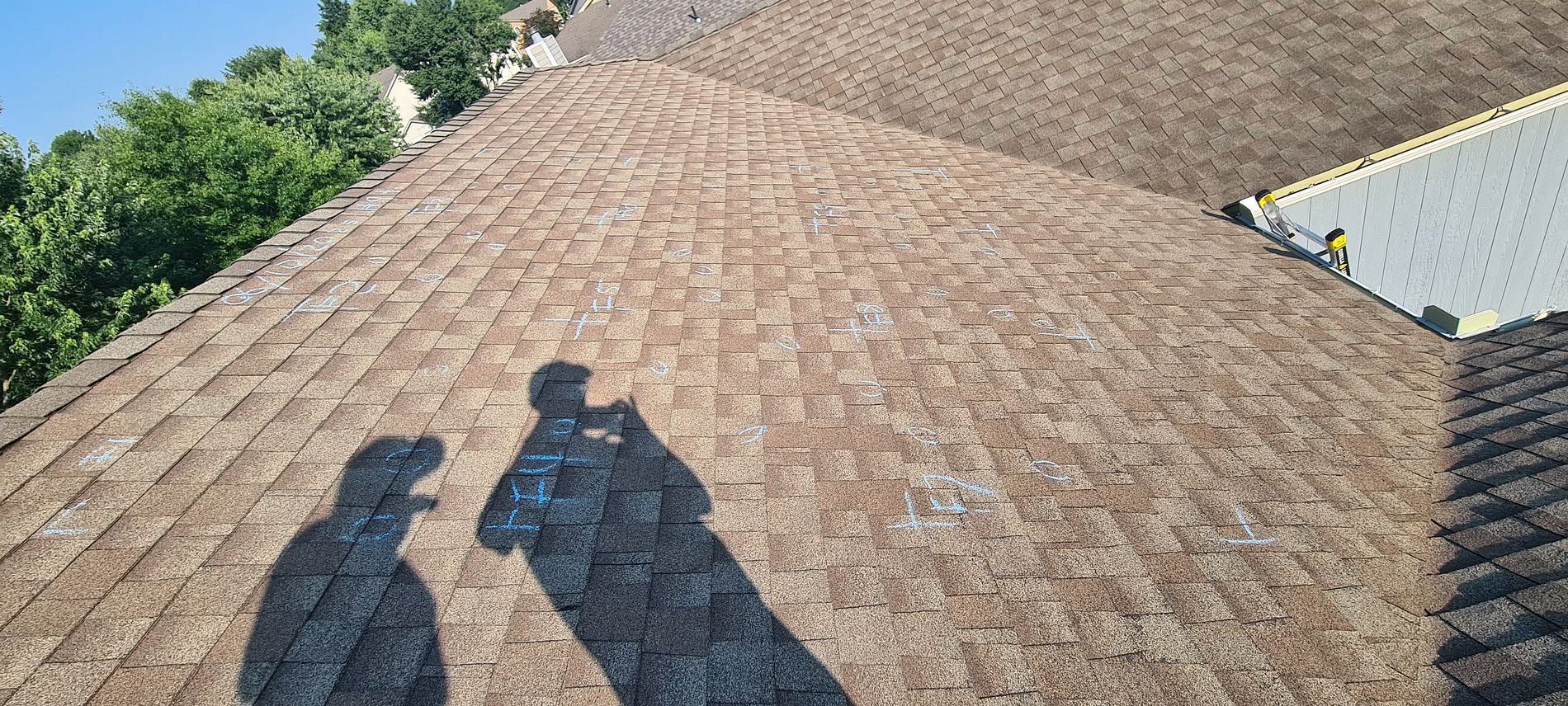 Two shadows on a shingled roof under bright sunlight, with trees and a house edge in the background