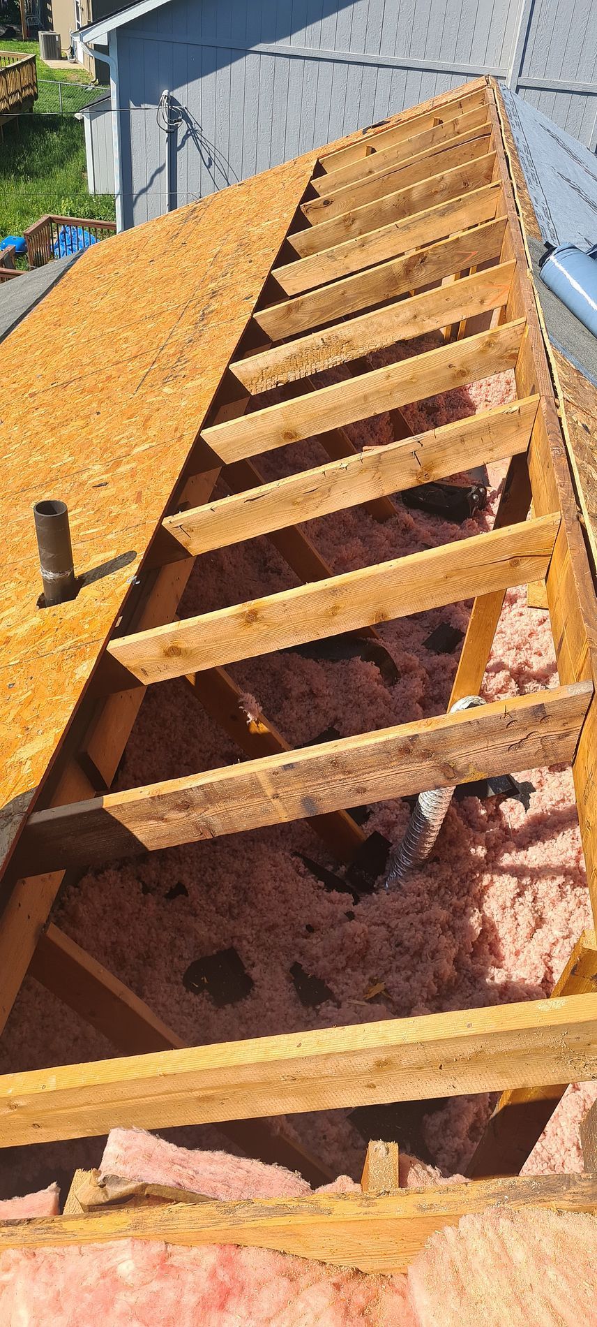 Exposed roof framing with plywood sheathing and pink insulation on a blue house exterior