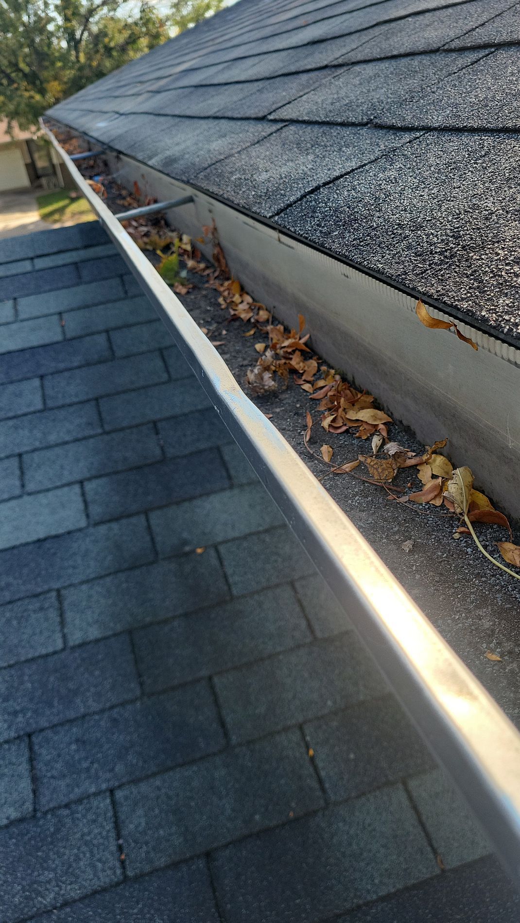 Rooftop gutter filled with leaves alongside gray asphalt shingles and a dark blue roof below
