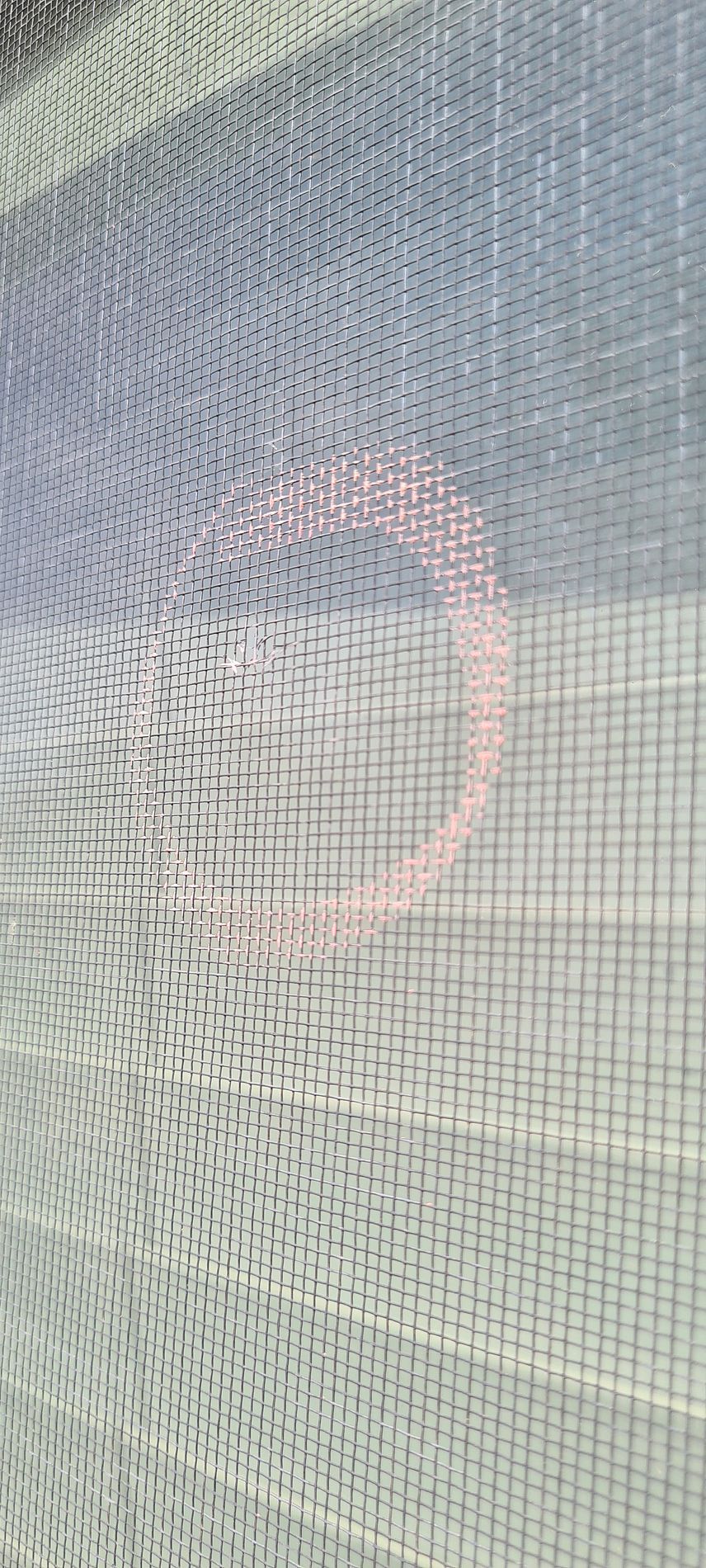 View through a textured mesh screen of an outdoor scene with a pink ring reflection in the center.
