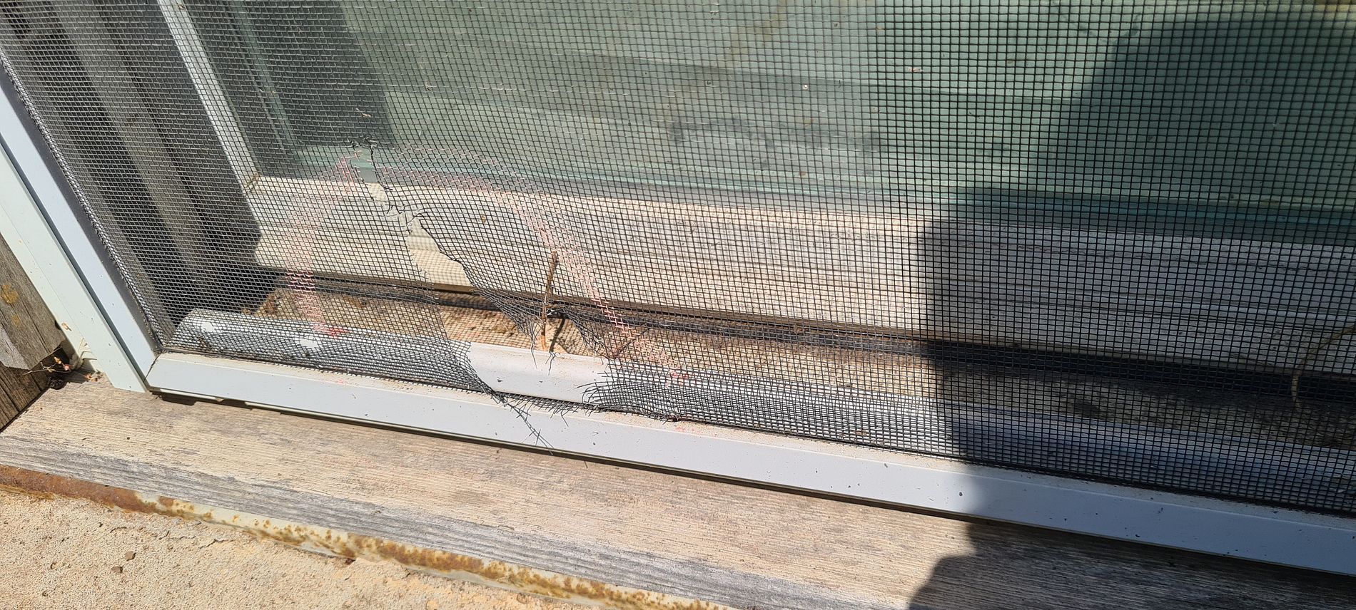 Close-up of a mesh screen door over a sunlit concrete threshold and patio.
