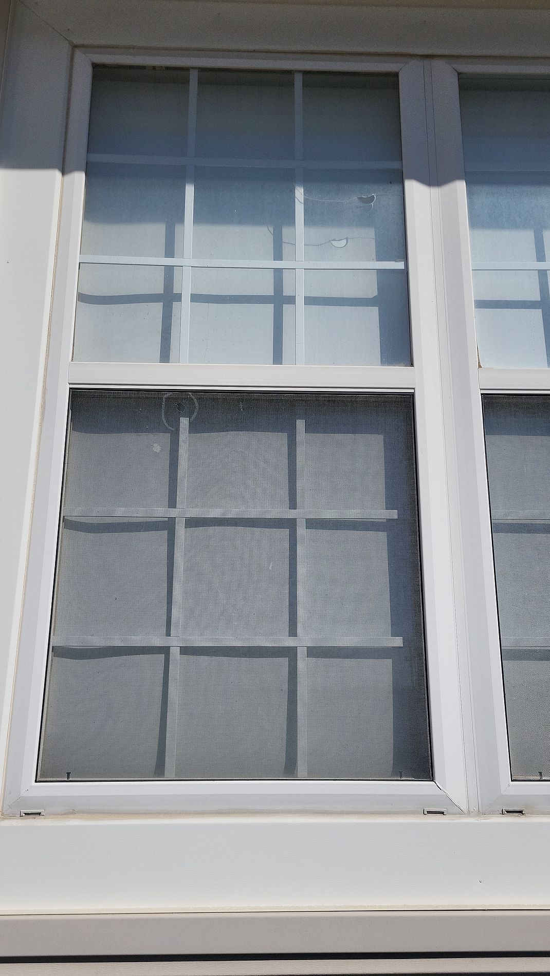 Close-up of a white-framed window with frosted glass panes and a wooden crossbar.