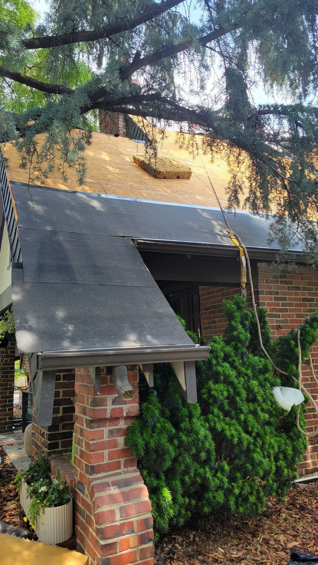 Brick house exterior with dark roof, overgrown ivy, and tree branches in front