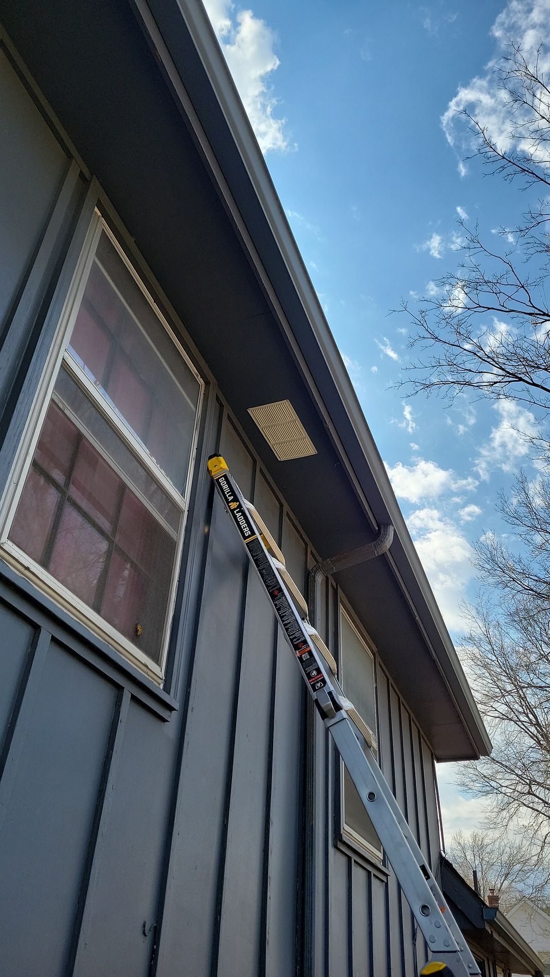 Ladder leaning against a dark blue house under the eaves on a sunny day