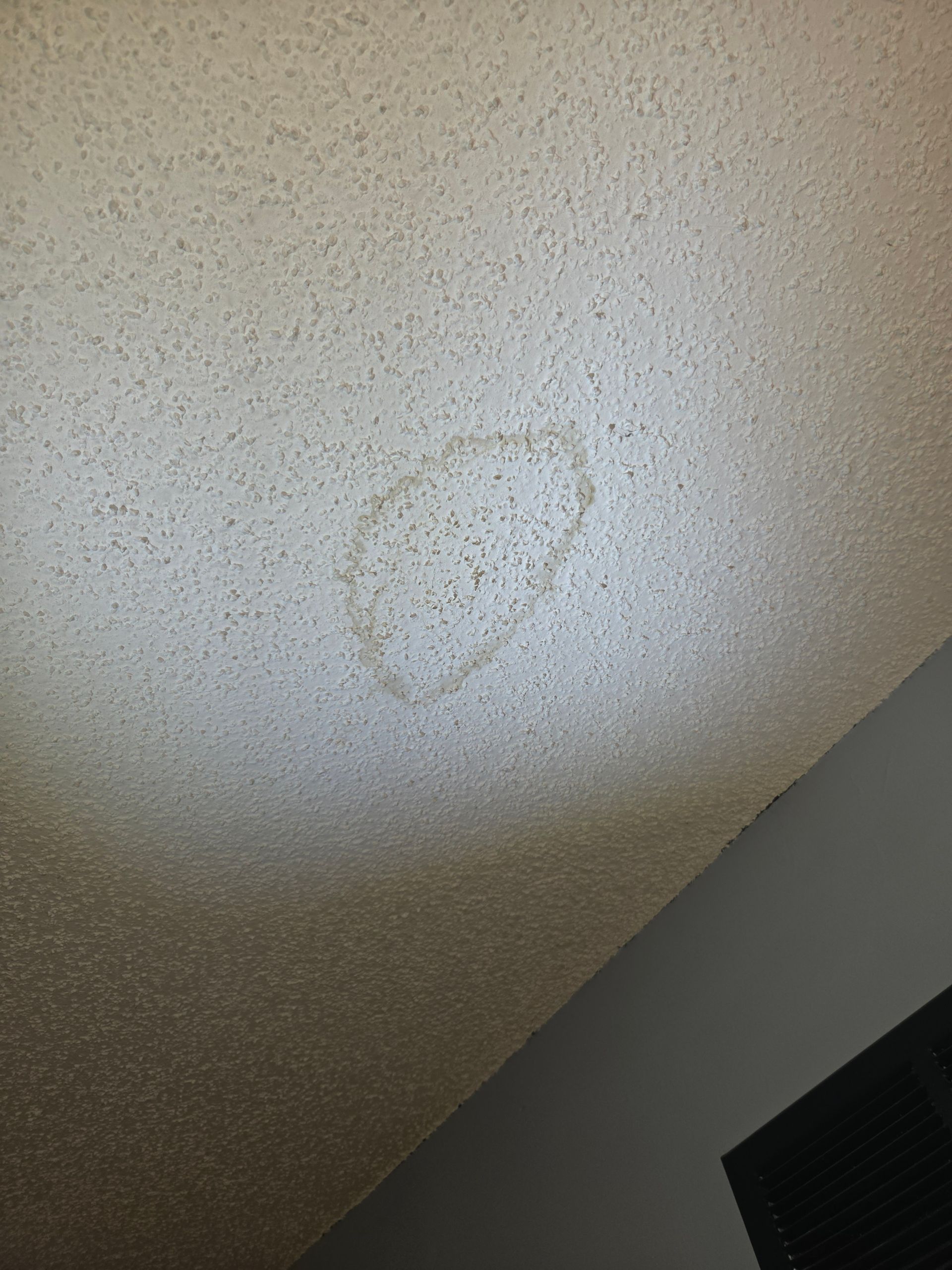Ceiling with a dark, irregular water stain near the center, over a speckled texture.