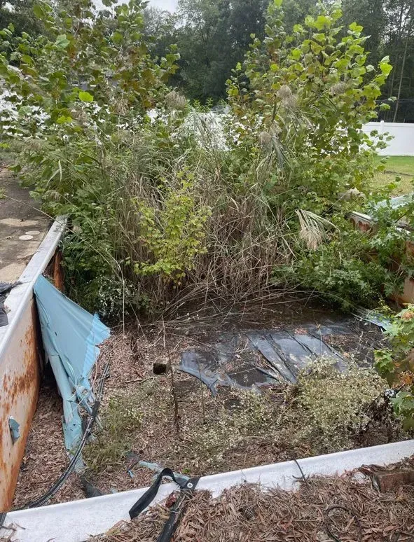 Overgrown backyard with dense weeds, a small hole in the ground, and scattered debris near a fence.
