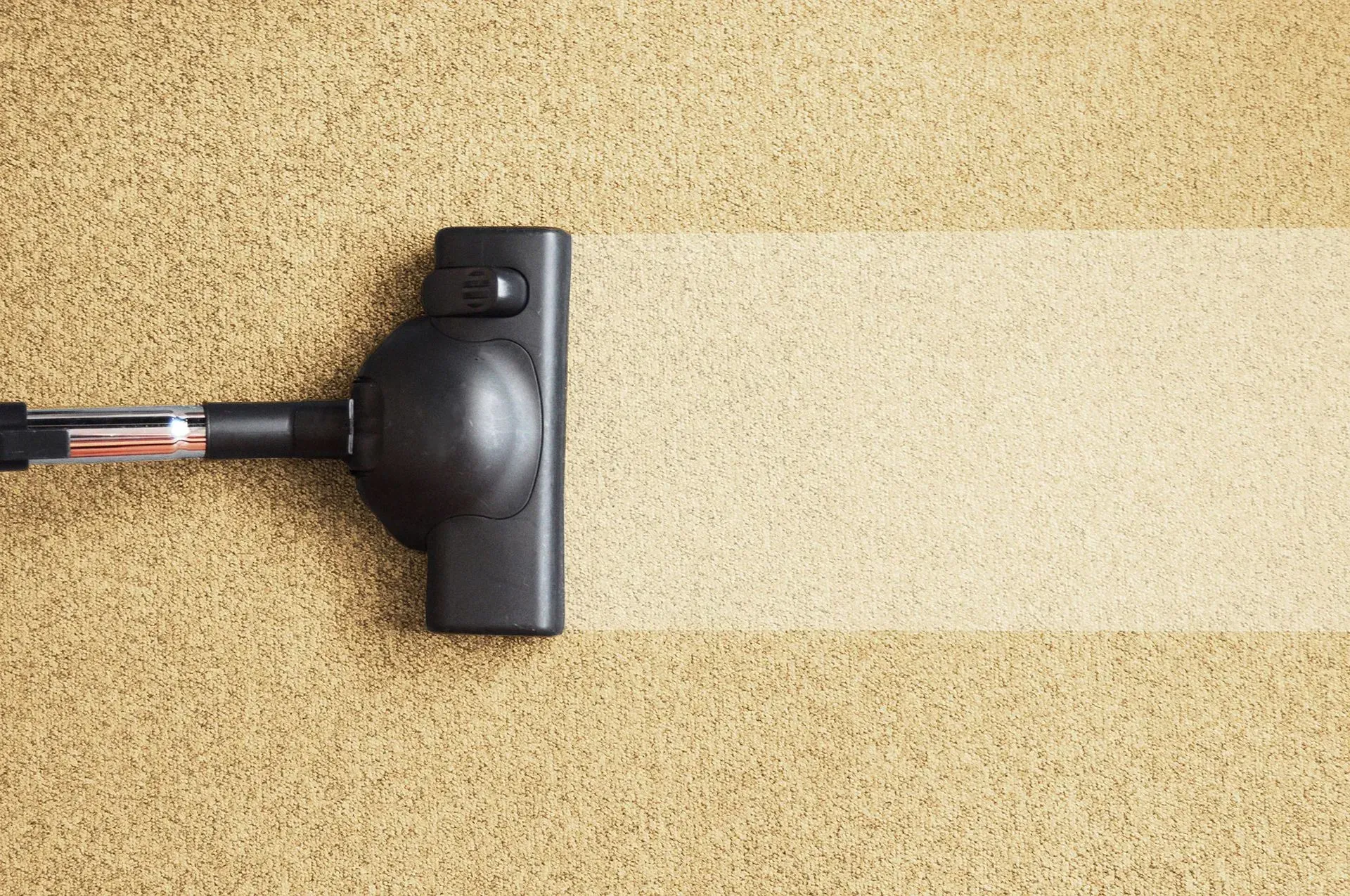 Vacuum cleaner cleaning a tan carpet, leaving a clean white stripe.