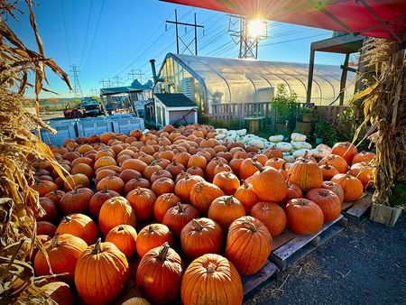 Fairmount Fruit Farm