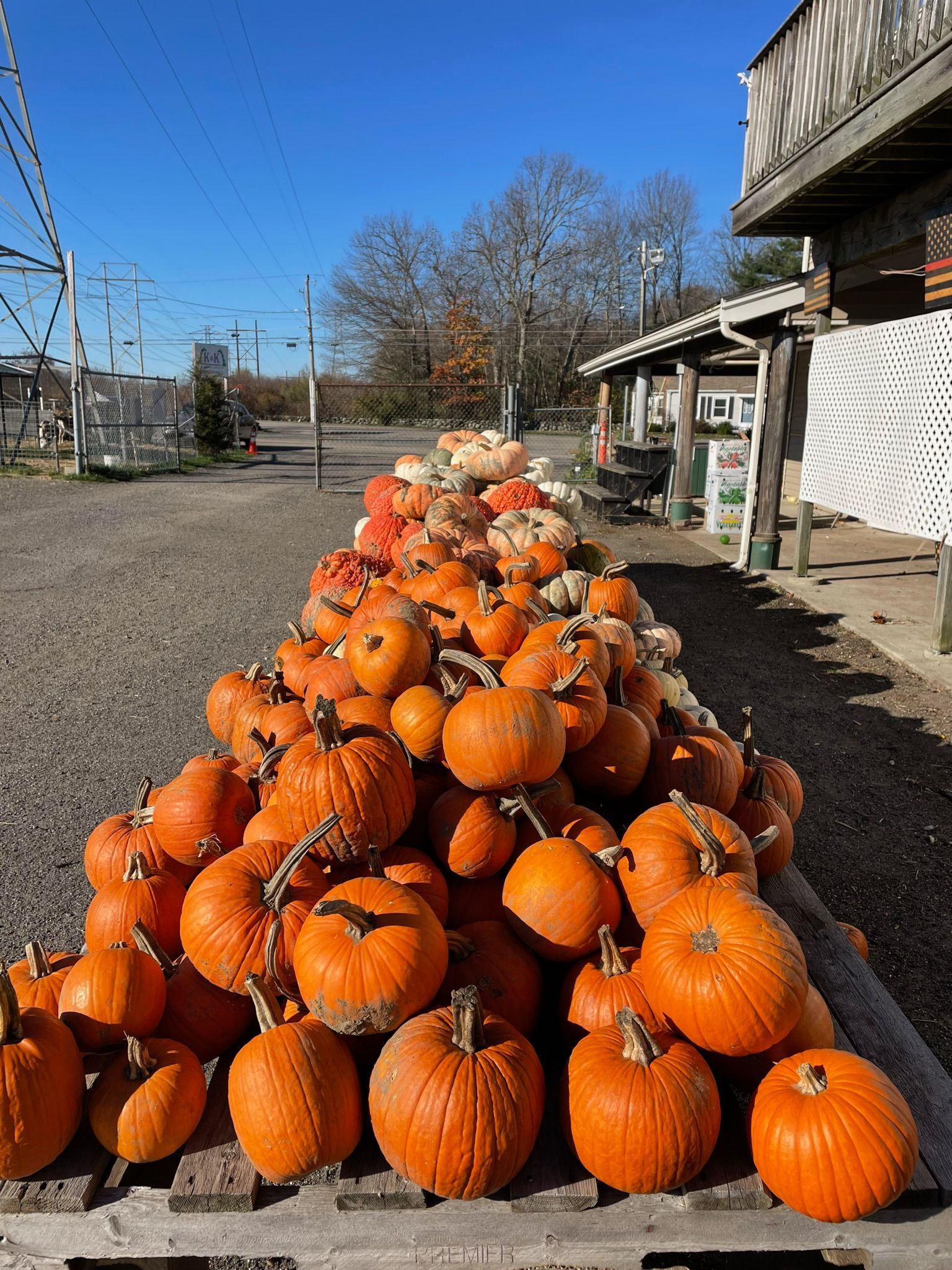 A person is holding a green apple with a bite taken out of it.
