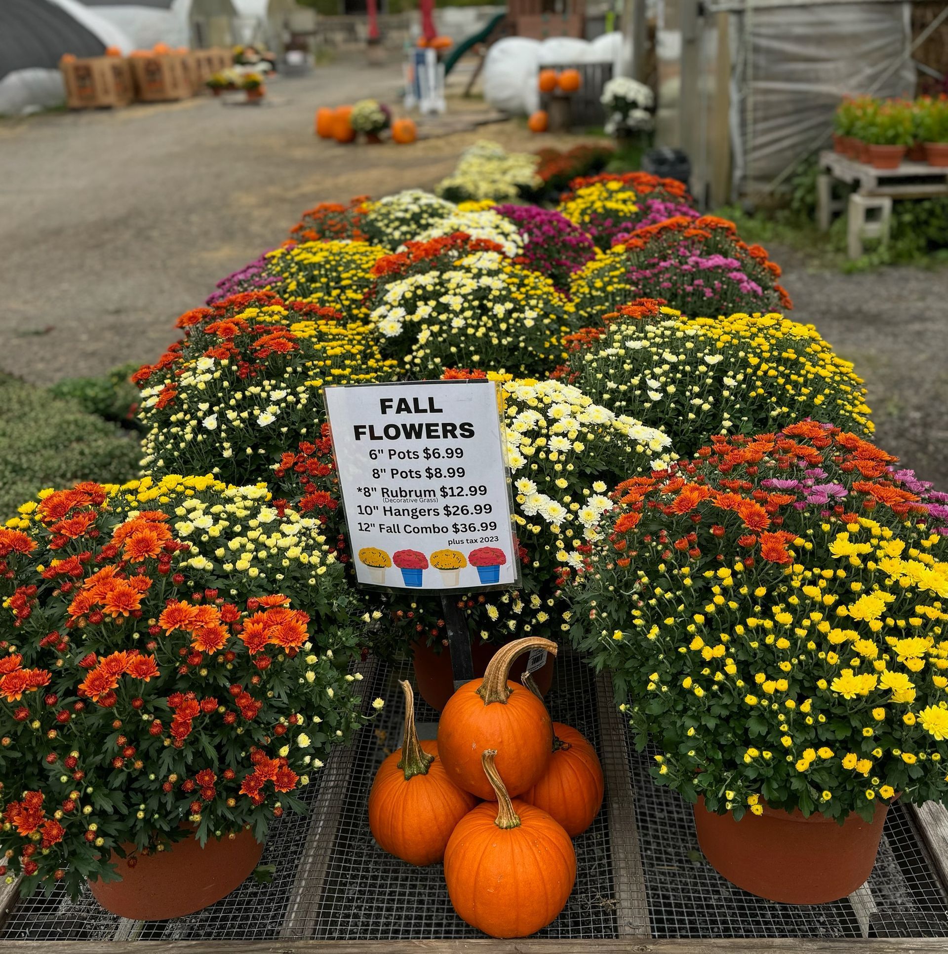 A stack of donuts next to a bag of apples
