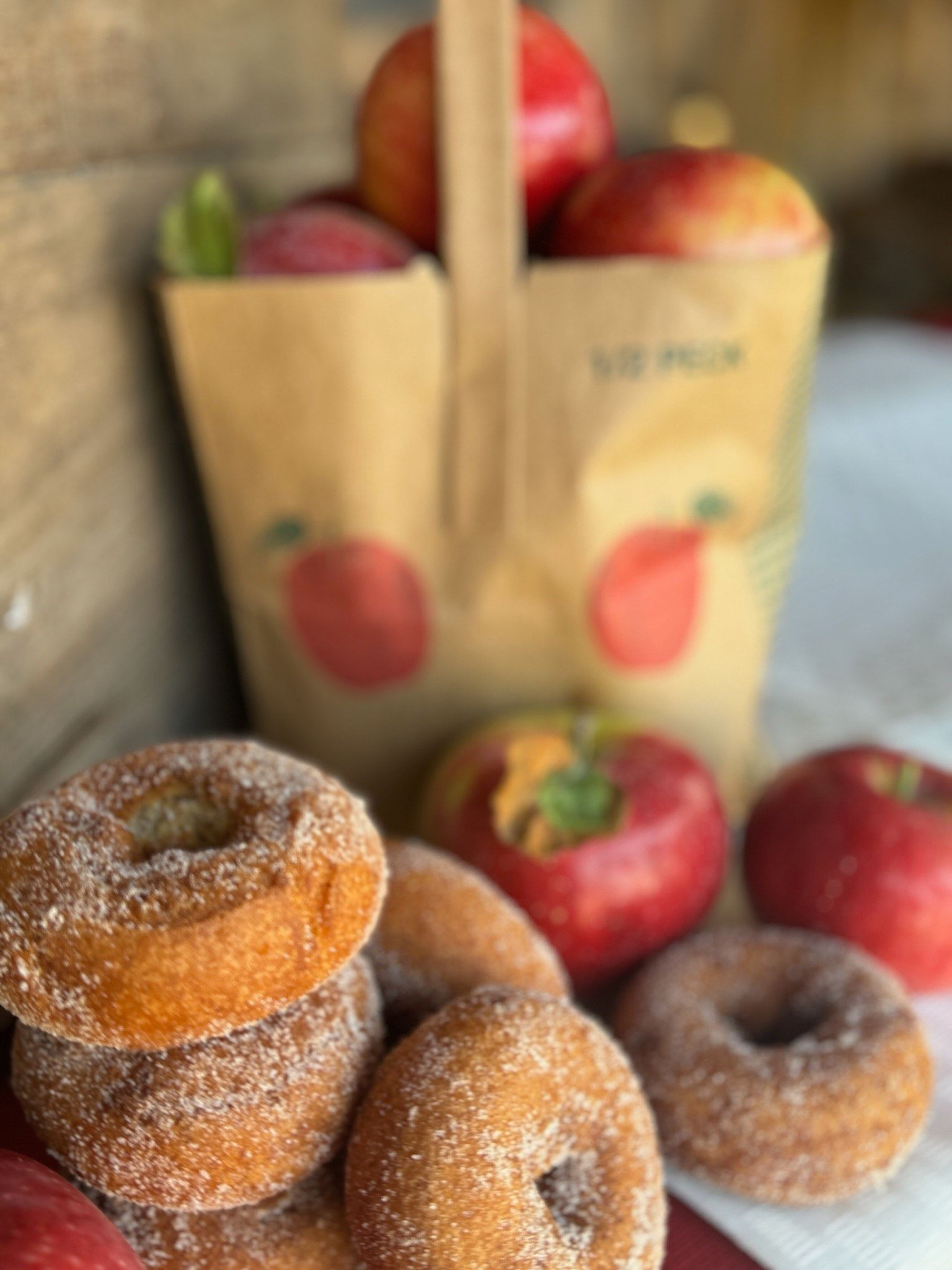 Girl picking apples in an orchard with green grass and trees.