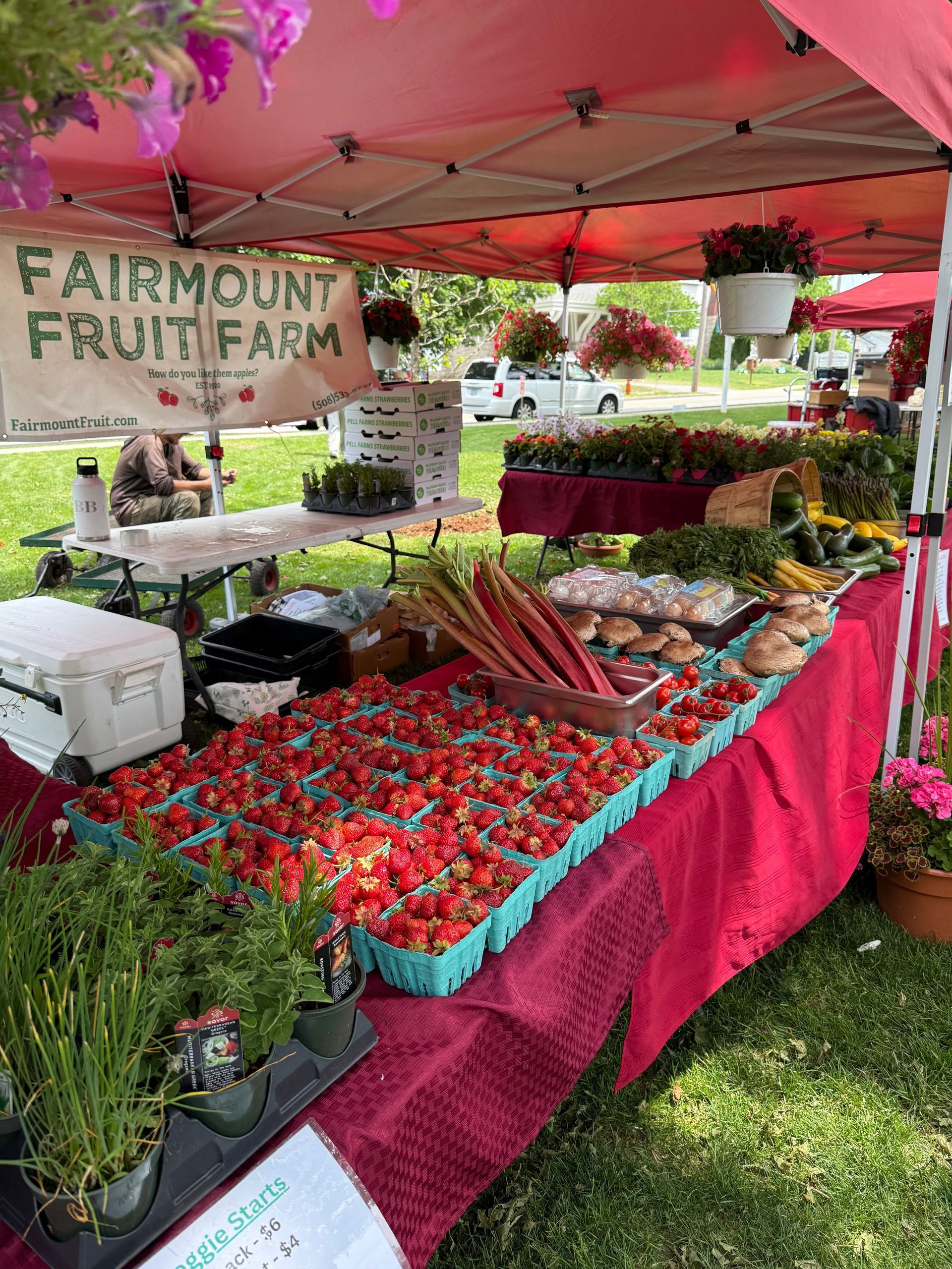A fruit stand with strawberries and rhubarb on it