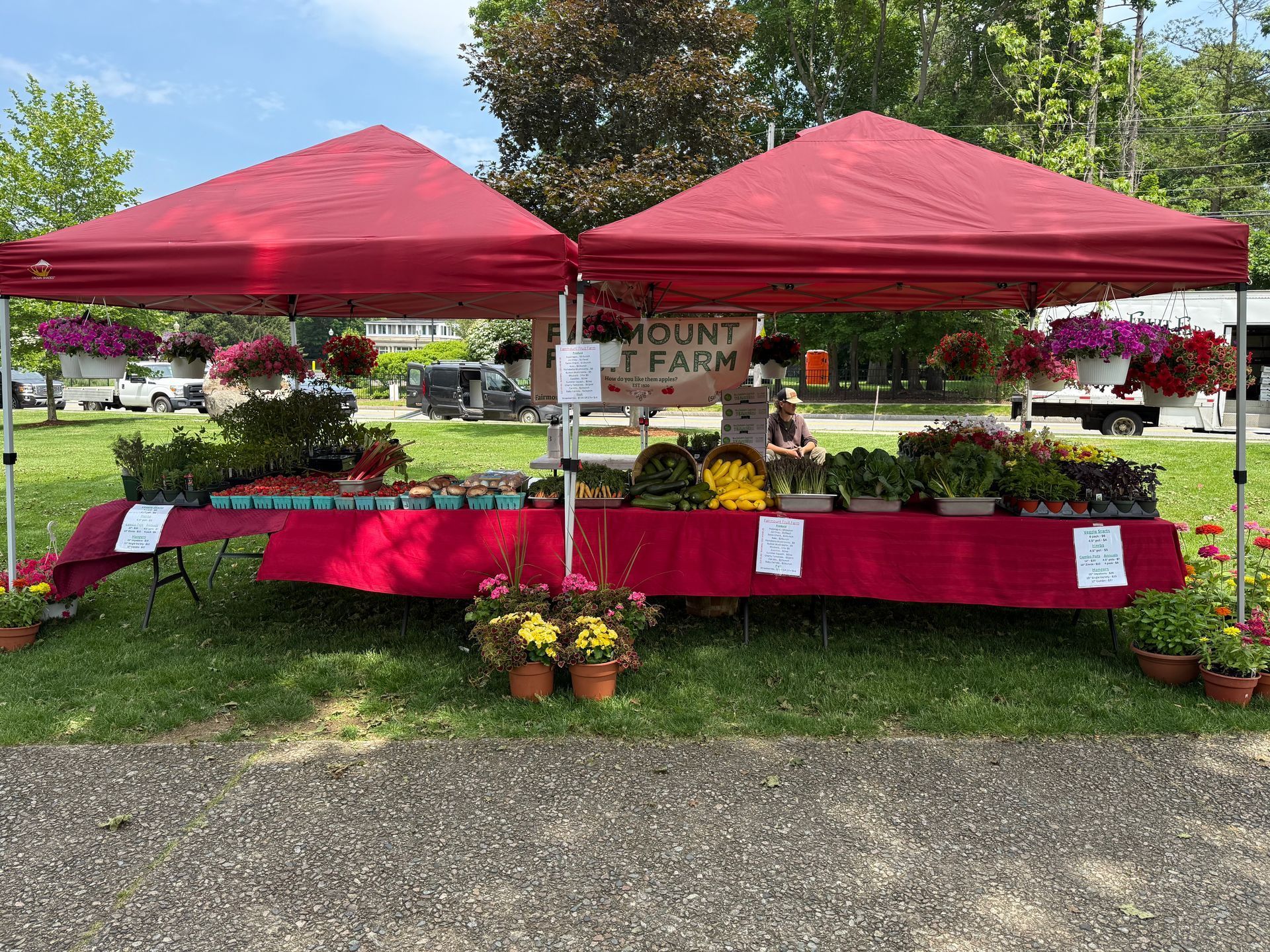 Two red tents are sitting in the grass next to a table filled with potted plants.