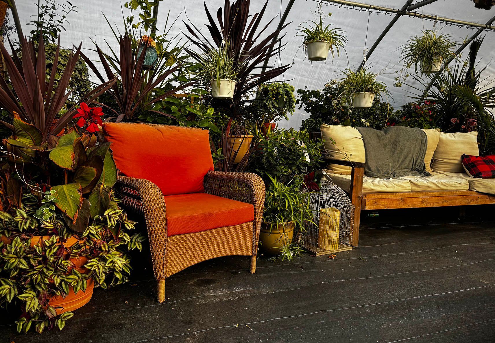 Spring and summer annuals and perennials