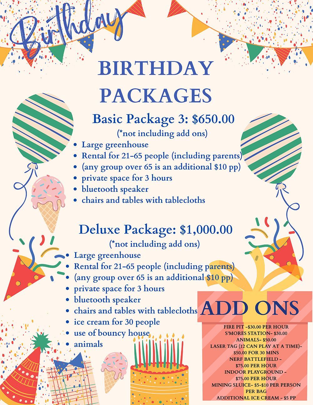 Birthday party packages flyer with blue and orange accents, listing basic, deluxe, and add-on options.