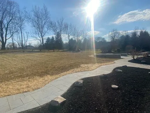 Sunlit backyard with a winding paved path and dry grass, trees in the background.