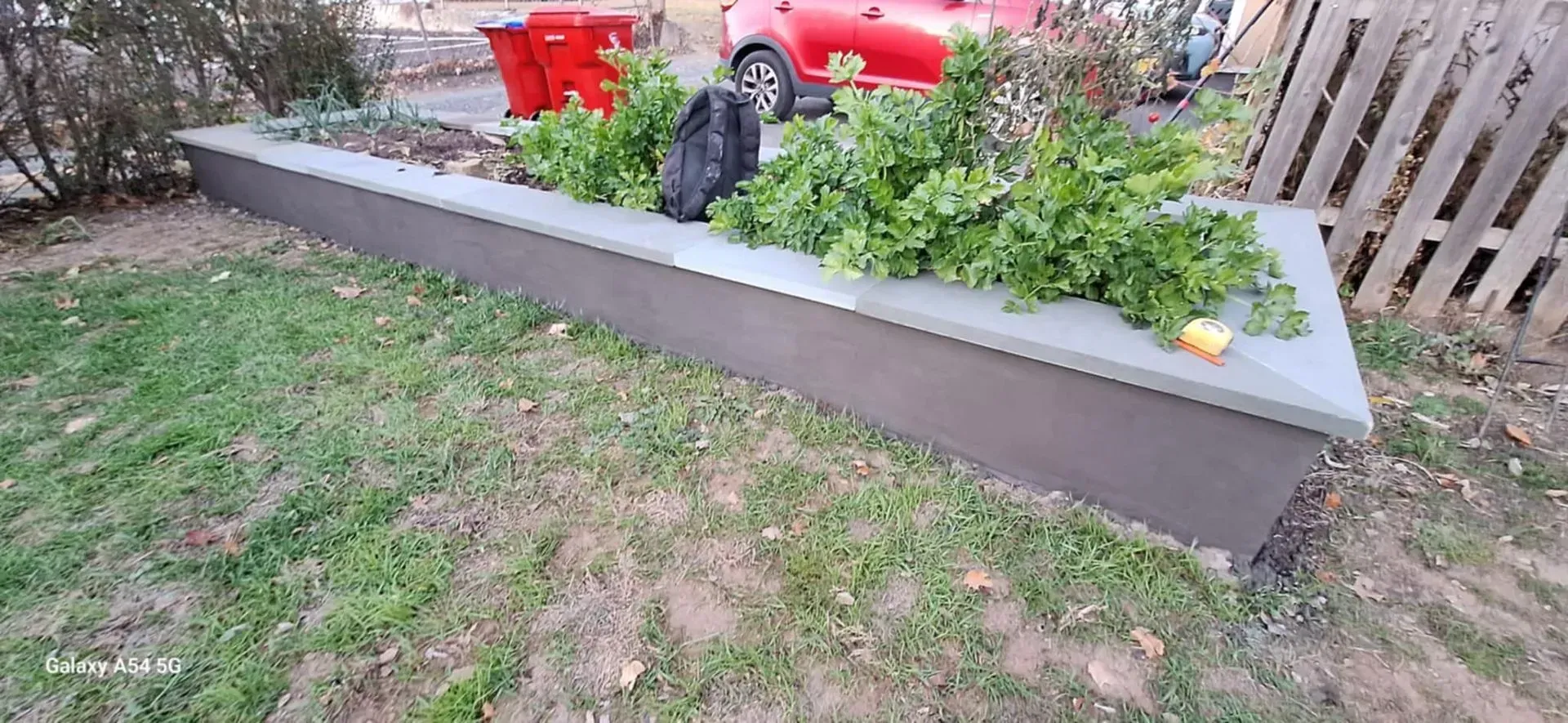 A long, rectangular raised garden bed with green plants on top. The bed is gray, set in a grassy yard near a fence.