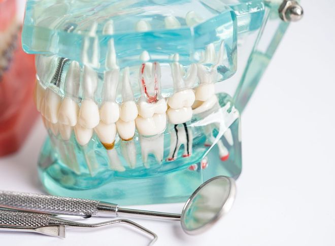 Prima Dental Premier