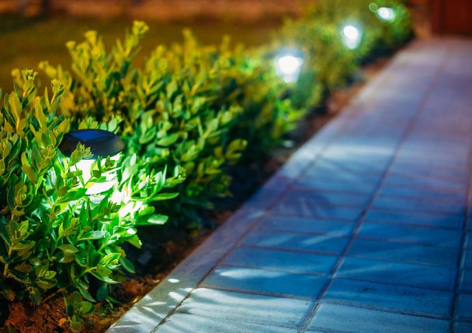 Lit sidewalk beside glowing green hedges at dusk.