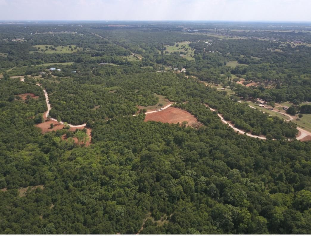 Aerial view of lush green forest with winding dirt roads and clearings under a hazy sky