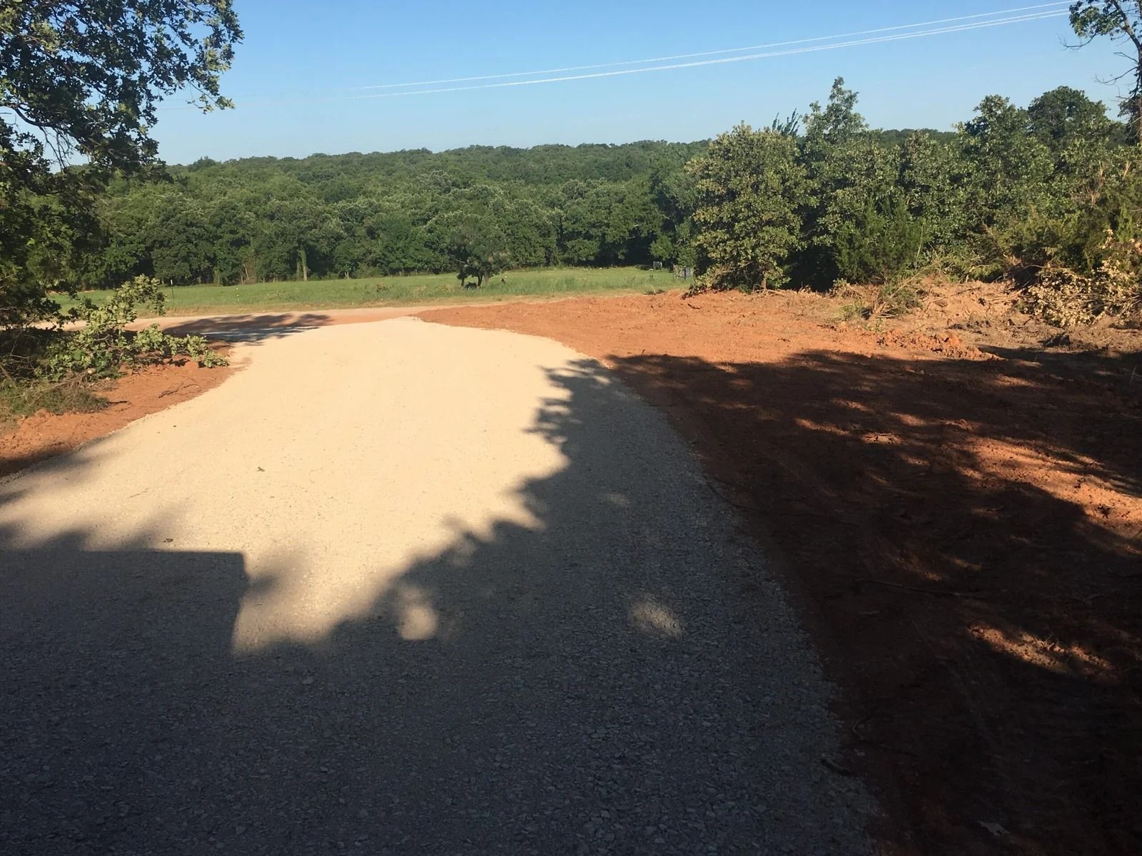 Gravel road opening onto a sunlit clearing with trees and forest in the background