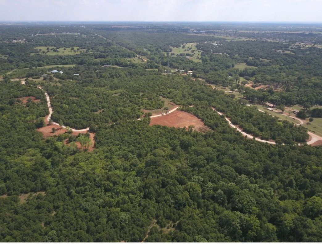 Aerial view of dense green forest with a winding dirt road and a cleared reddish area.