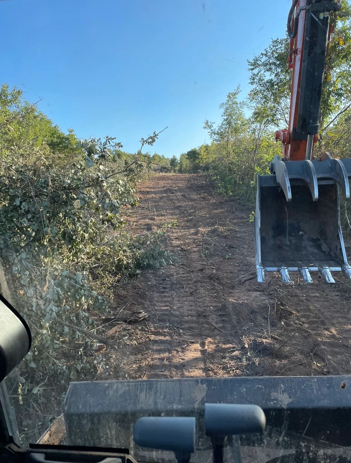 Excavator bucket at the end of a narrow dirt trail through brush under a blue sky