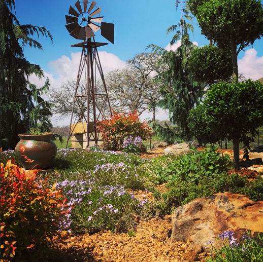 Garden with colorful flowers, a windmill, trees, and large rocks under a bright blue sky