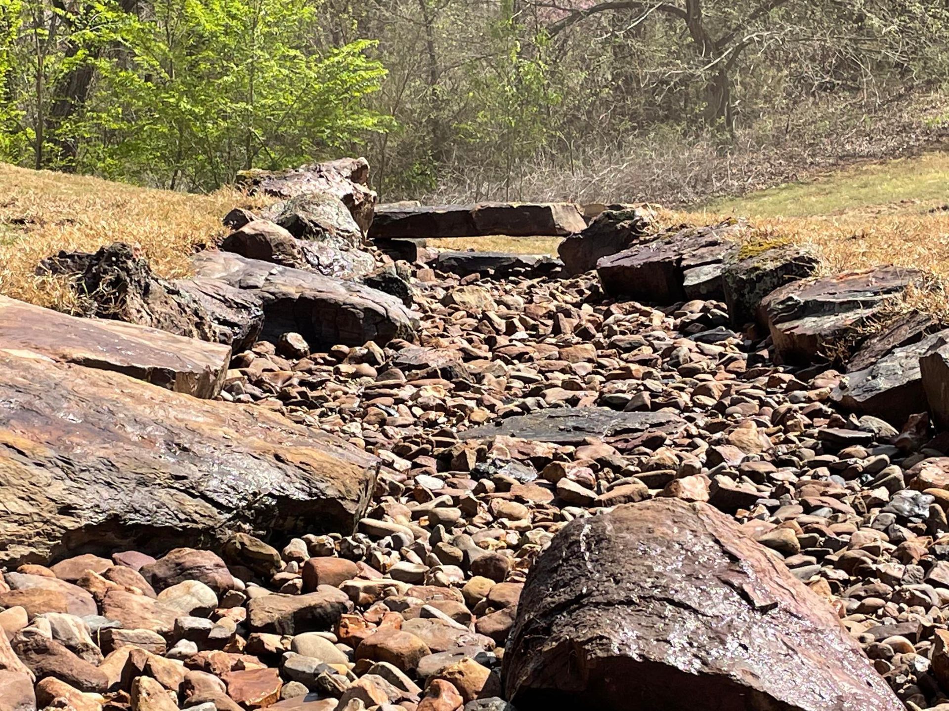 Dry rocky streambed with large boulders in a wooded area