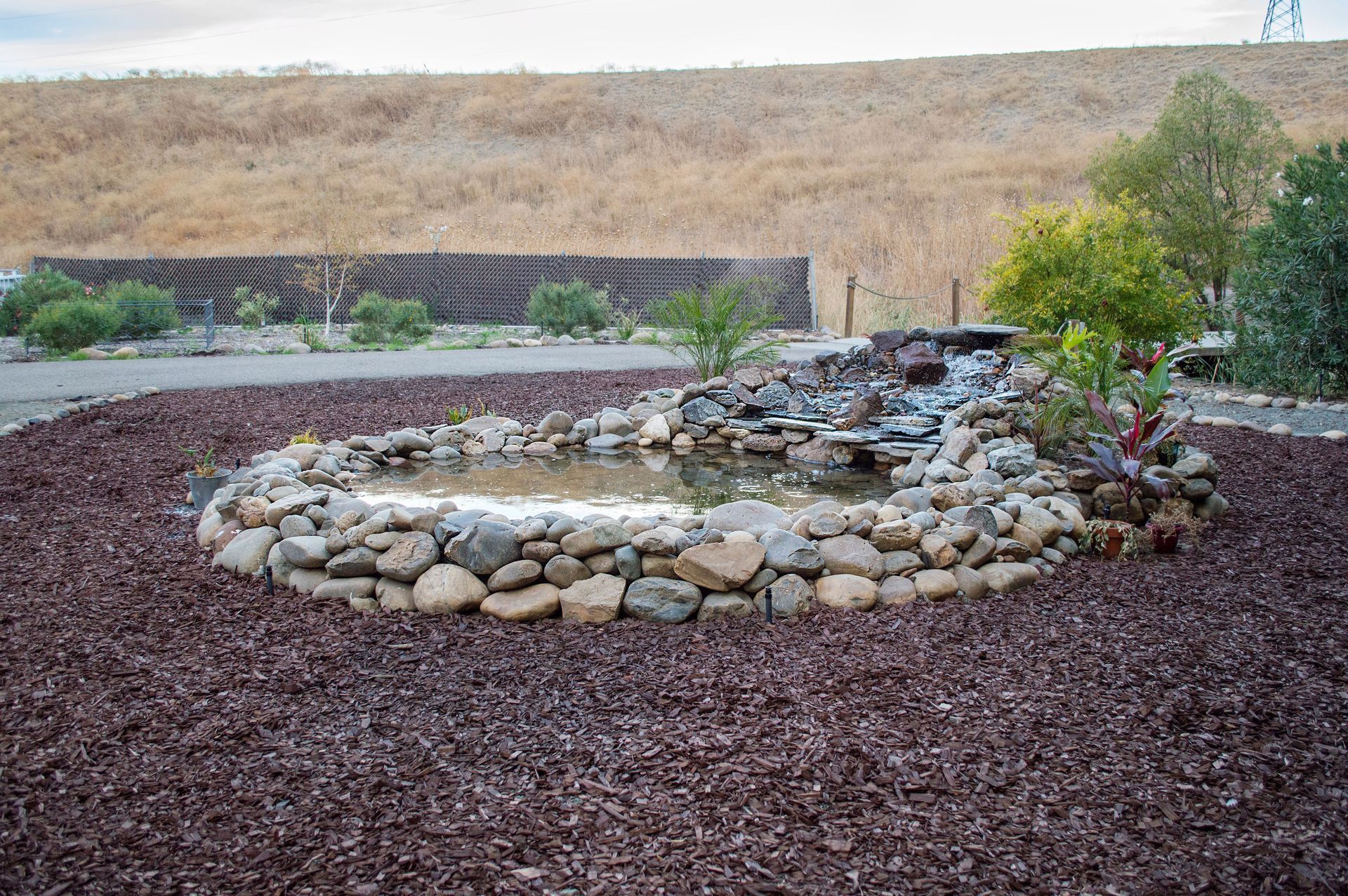 Rock-bordered garden pond in a mulched yard with shrubs and a dry hillside beyond