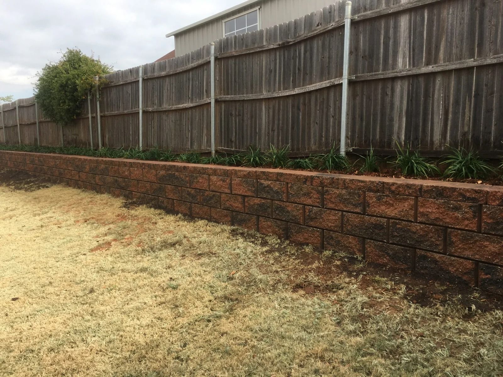 Backyard with dry grass, a brick retaining wall, and a wooden fence along the edge