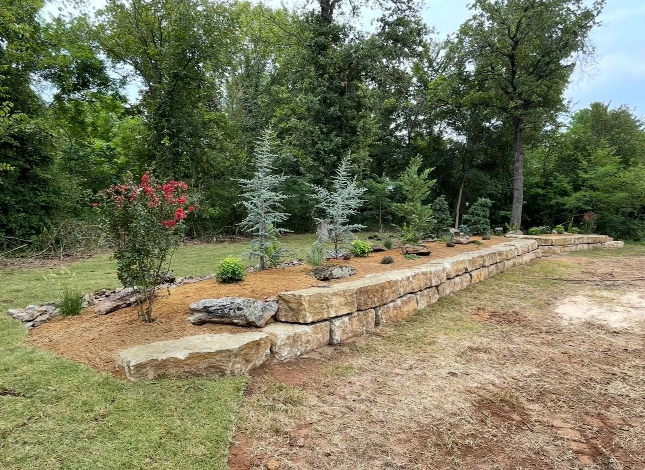 Stone retaining wall with young shrubs and small trees in a grassy garden, backed by tall trees.