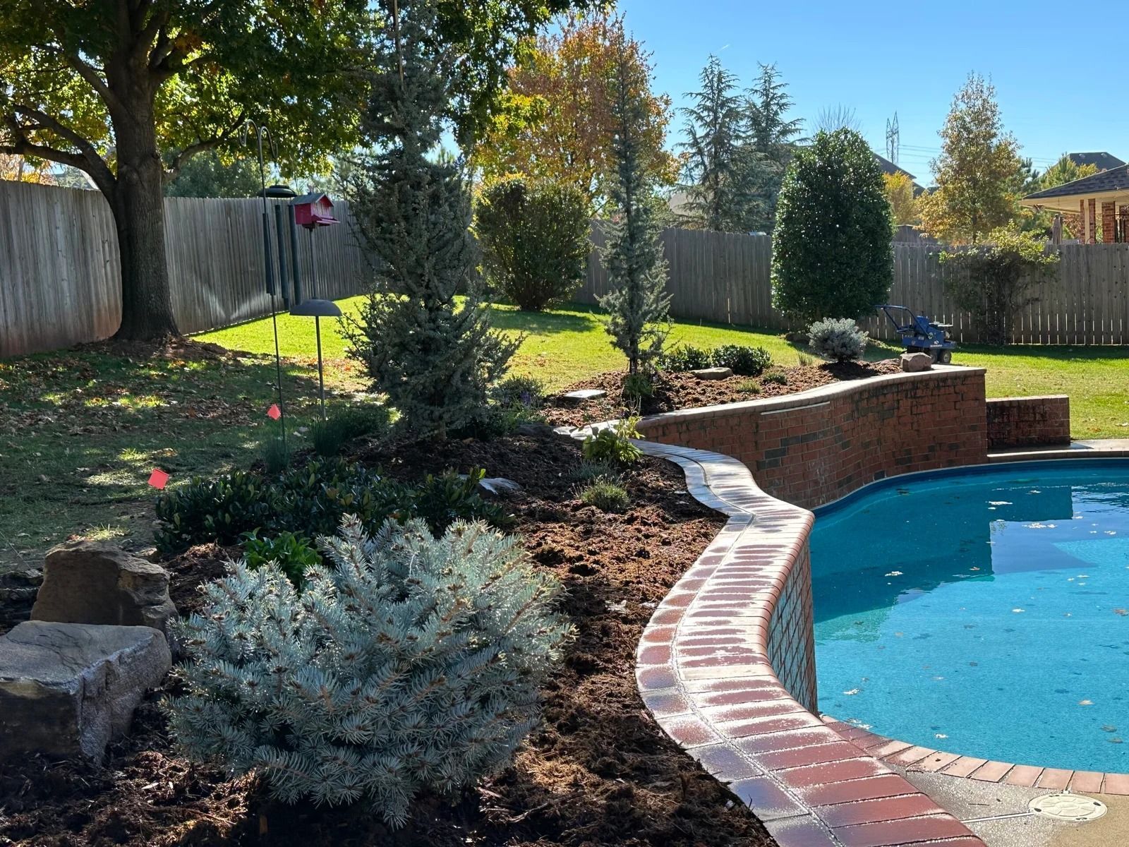 Backyard pool with curved brick edge, landscaped garden beds, and a wooden fence in the background