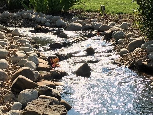 Rock-lined garden stream with sparkling water flowing through a sunny grassy area.