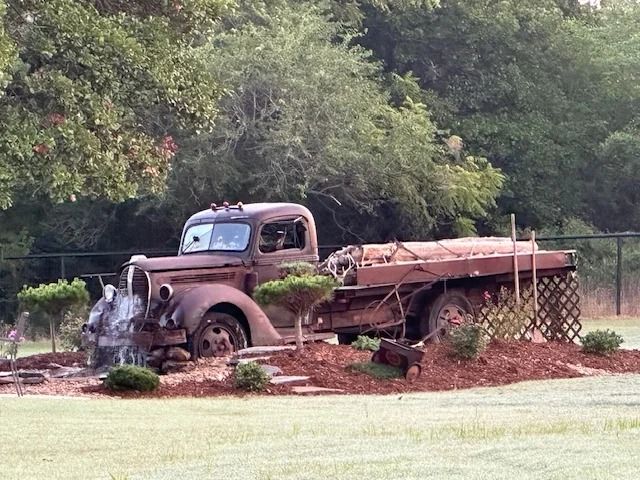 Rusty old pickup truck in a muddy field, surrounded by trees and overgrown vegetation.
